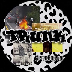 Kyte - Trunk (free dl)