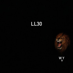 W4Y - LL30