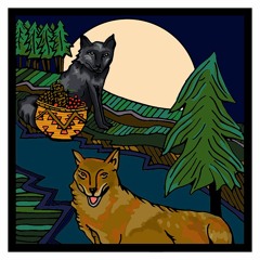 Coyote And Silver Fox