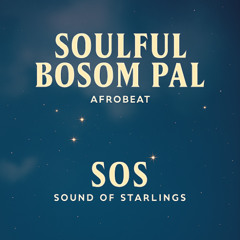 Soulful Bosom Pal(3) #RnB x Afrobeat x Dancehall Fusion