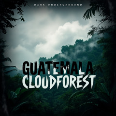 OGG 361 - это GUATEMALы это CLOUDFORESTы(demo version)