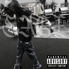 Bandman Sage - Be Fr