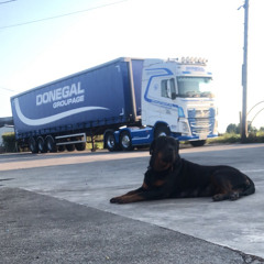 the whistlin donkey's whiskey in the jar