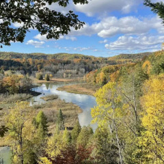 Manistee River Trail