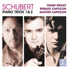 Schubert: Piano Trio No. 2 in E-Flat Major, Op. 100, D. 929: I. Allegro