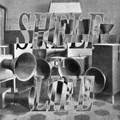 Shelf Life 01