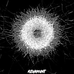 REVANVNT - MEMBRANE SOUP