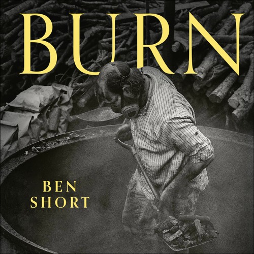 Stream BURN written and read by Ben Short - audiobook extract from Hodder  Books | Listen online for free on SoundCloud