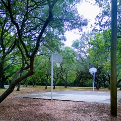 Extrovert's Solitude