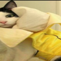 he not like the banana but it a full song