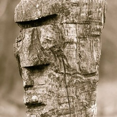 furrowed brow
