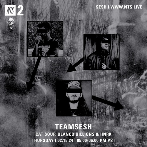 TeamSesh NTS 15th February 2024: Blanco Billions, cat soup & hnrk