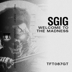 FREE DOWNLOAD: SGIG - WELCOME TO THE MADNESS [TFT087GT]
