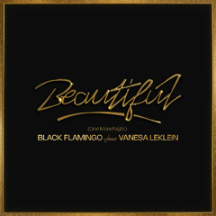 Beautiful ( One more night Remix ) - Black Flamingo & Vanesa Leklein