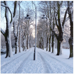 christmas blue jr sings. wav