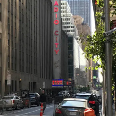 one night in NYC