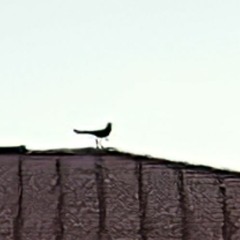 Skit [周士爵 & Eddie Beatz]