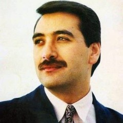 وقفوا صفين - ربيع الخولي