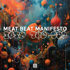 YM023_Meat Beat Manifesto_Into The Sun (clip)