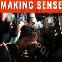 Making Sense with Sam Harris #207 -Can We Pull Back From The Brink? (June 12, 2020)