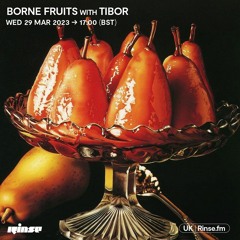 Borne Fruits with Tibor - 29 March 2023