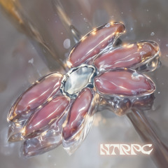 [Premiere] Zalgamoz (Bootleg) - Lakra (Ntrpc001)