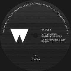 A1 Vlad Arapasu - Hidden In The Chaos