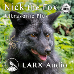 Nick the Fox Ultrasonic Plus Demo double speed