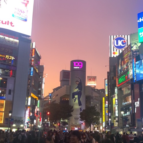 tokyo beer lab set (JACKIN HOUSE)