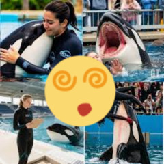 [FULL] jessica radcliffe video jessica radcliffe pelatih orca jessica et son dauphin twitter