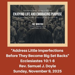 "Address Little Imperfections Before They Become Big Set Backs" (Eccl. 10:1-6) - November 9, 2025