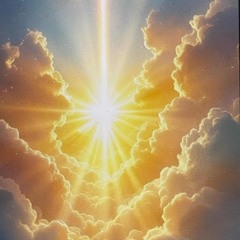 Holy Shelter  / by Heidi de Fretes