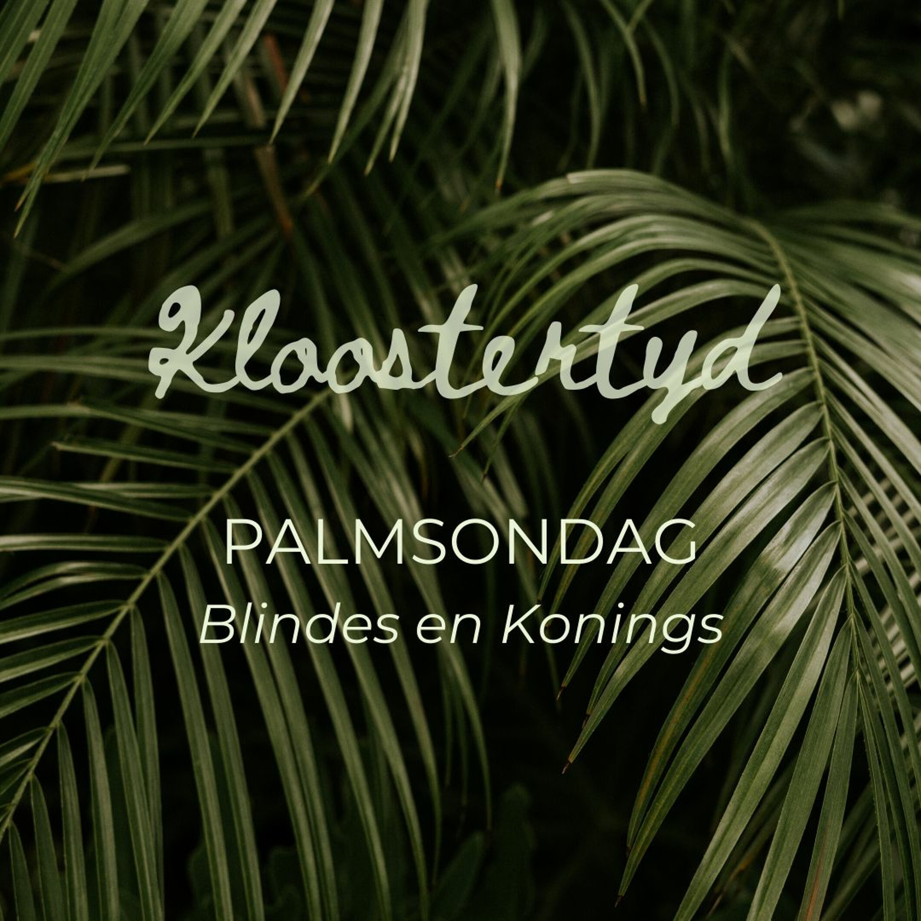 Kloostertyd: Blindes & Konings (Palmsondag) deur Pierre Du Plessis
