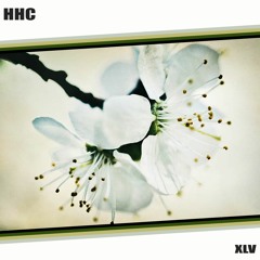 Colector - Die 4 Respect