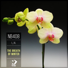 I_XL - Separation (Original Mix)