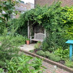 Women's Weeds: Witchcraft Chapter, Story 4 — Magical Midwives
