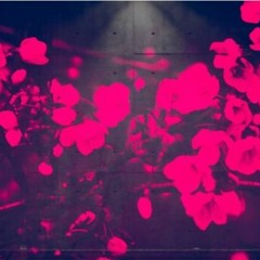 Slow Electropop song - FEMALE SINGER WANTED!