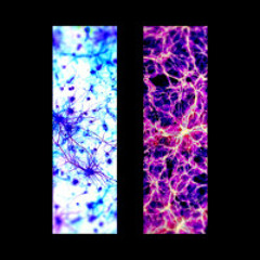 Ancillary Tones & Isaac Tumor - Plataeu