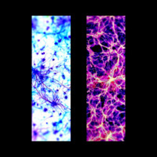 Ancillary Tones & Isaac Tumor - Arbelito