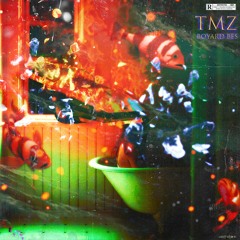 tmz freestyle
