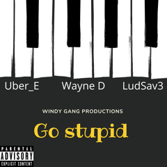 Go Stupid x Windy Gang