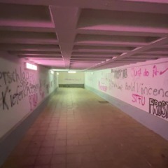 Stahlbass im Moshpit