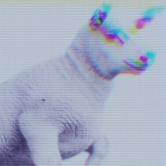 Counting Sheep