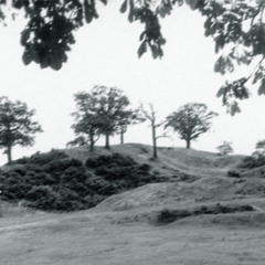 You Dug Me Up (2013 Mix)