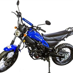 Unleash Adventure with the 250cc Tao Tao Dirt Bike by Tao ATV