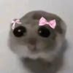 Nao Masterizei Fodase