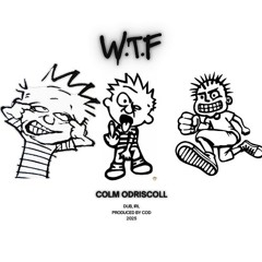 Colm ODriscoll - W.T.F (Direct Download)