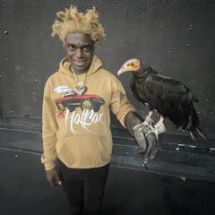 kodak black - halloween [grdnr flip]