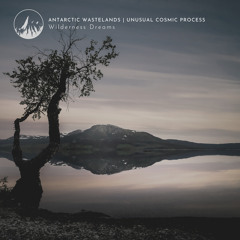 Solar Flares over Arctic Shores