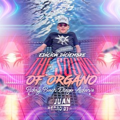 THE SOUND OF ORGANO EDICION DICIEMBRE BDAY BASH DIEGO ADARVE